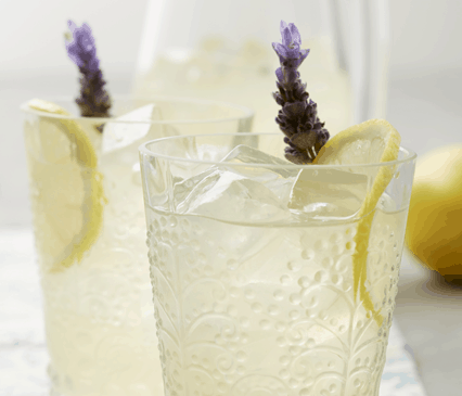 Lemon Lavender close up